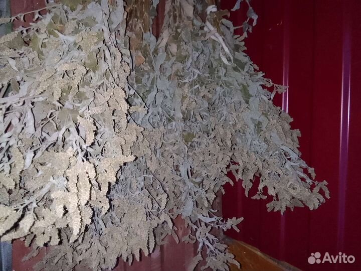 Мелисса лимонная, чабрец, душица,мята