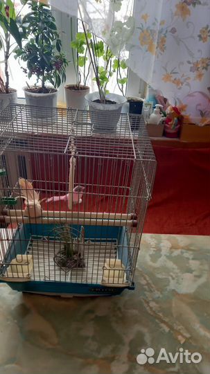 Клетка для птиц бу, размер 38*30*23