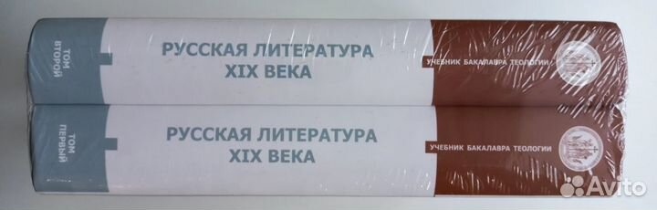 Русская Литература XIX века в 2-х томах. Учебник