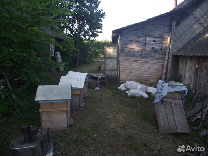 Пчелы с ульями