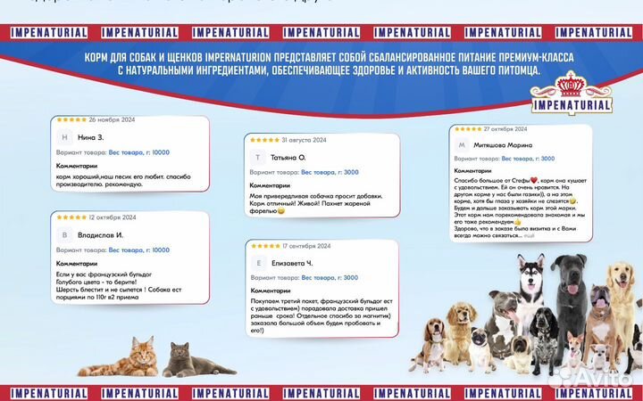 Корм для собак мини 10кг impenaturial