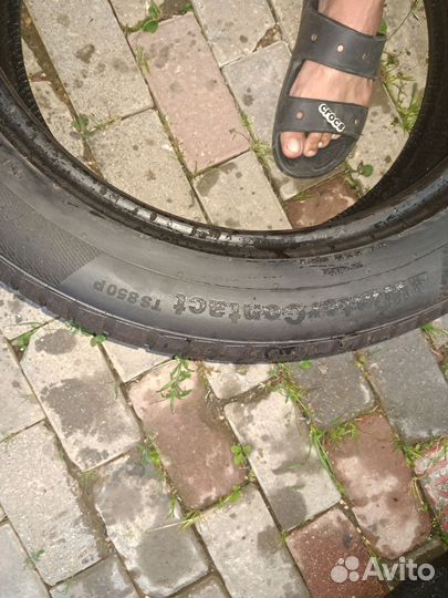 Continental ContiWinterContact TS 850 P 255/50 R18 109V