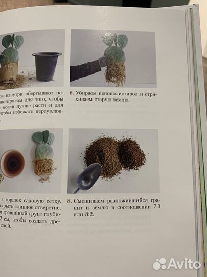 Книга по уходу за растениями «Восставшие из сада»