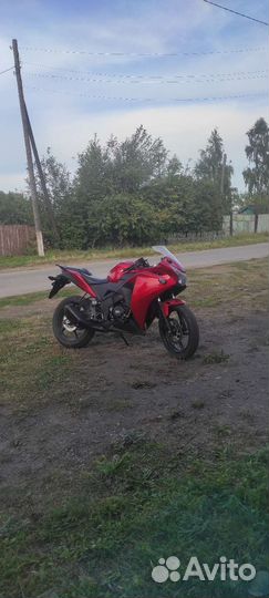 Xmot ABM 250