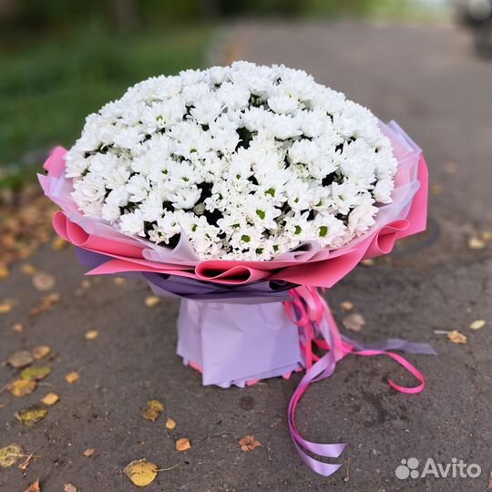 Букет xxxxxl из ромашек (хризантемы)