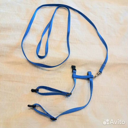 Шлейка для кошки / кролика