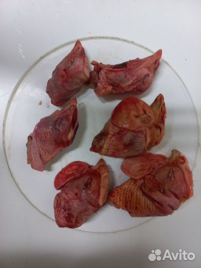 Куриные головы