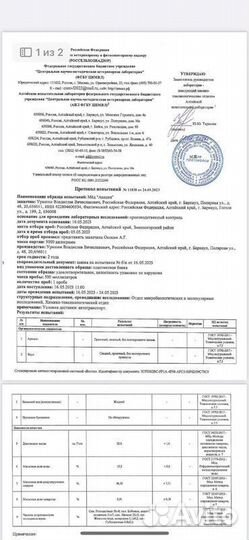 Мед оптом Майский