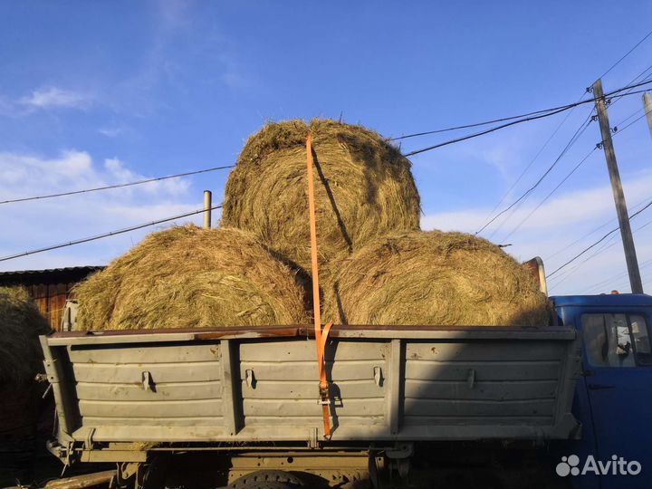 Сено в тюках