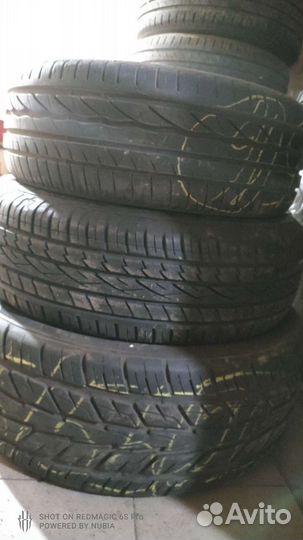 Accelera Beta 14/50 R14 и 195/50 R15