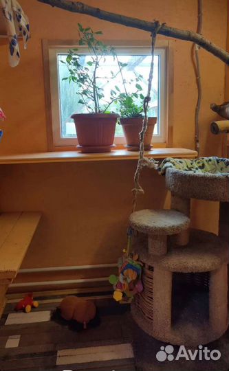 Передержка/Гостиница для животных 