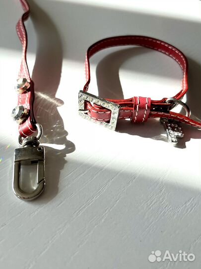 Ошейник и поводок для маленькой собаки