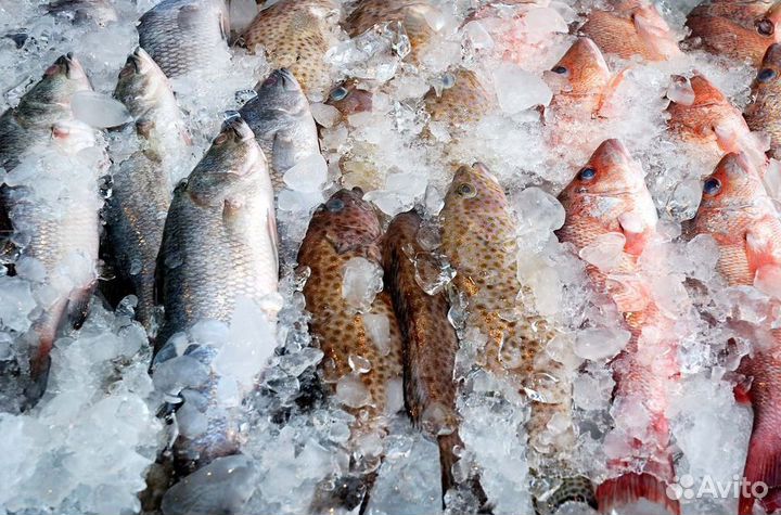 Франшиза: минимальные риски старта