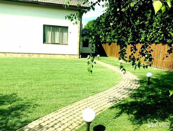 Рулонный газон 