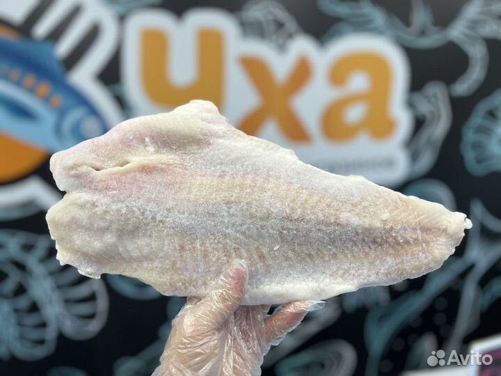 Филе пангасиуса