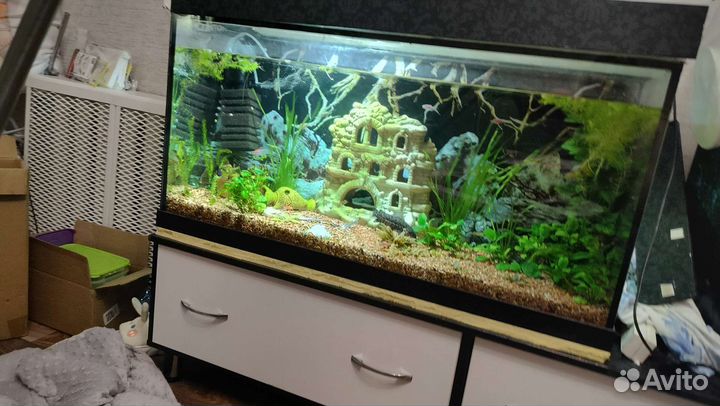Аквариум
