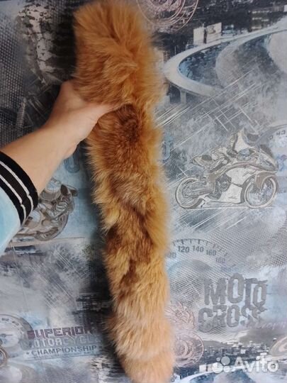 Лисий хвост