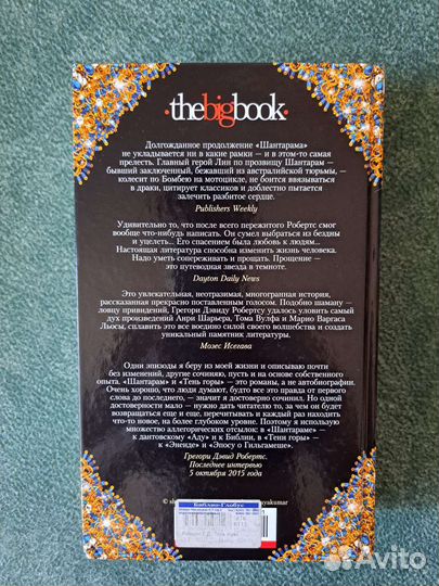 Тень горы. Грегори Дэвид Робертс