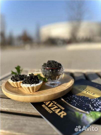 Черная икра