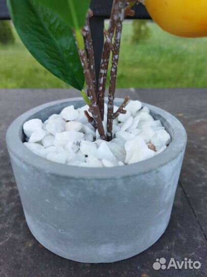 Искусственные цветы лимон, папоротник IKEA