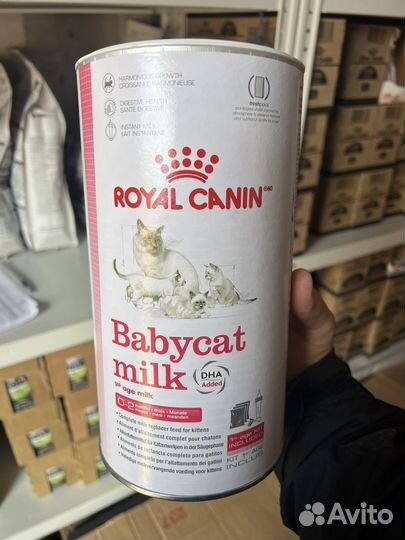 Royal Canin babycat 195гр мусс (паштет)