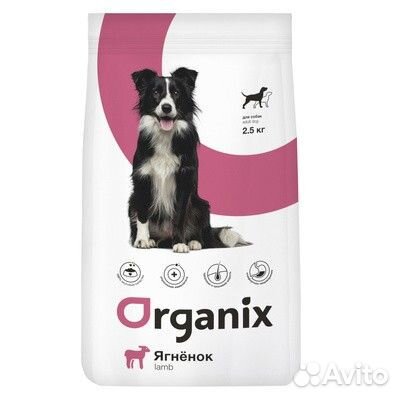 Корм для собак и кошек, наполнители и другое