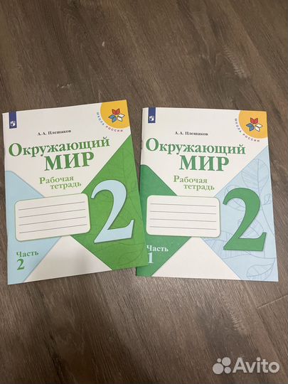 Окружающий мир новые рабочие тетради