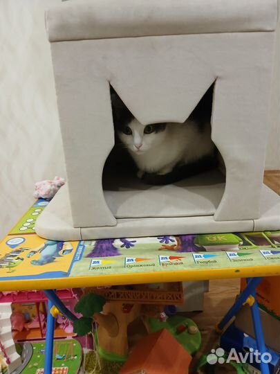 Домик для кошки с когтеточкой