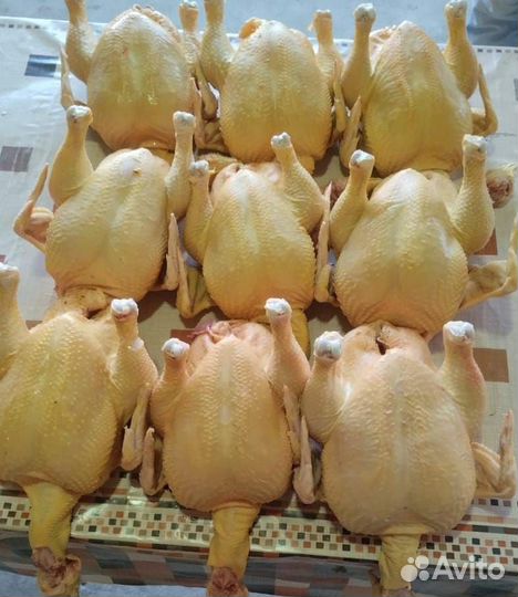 Куры бройлеры тушки мясо