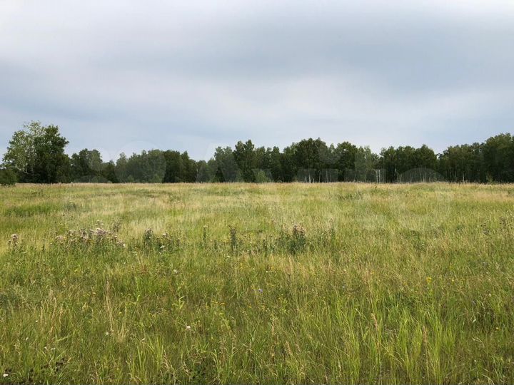 Участок 16 га (промназначения)