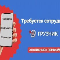 Подработка / Грузчик / Без опыта