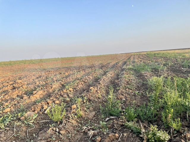 Продам сх земли. Земли сх назначения. Field photo. Продам сх земли. Земельный участок для сх.