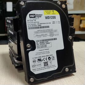 HDD 120 Гб/WD/3,5''/sata/7200об/мин