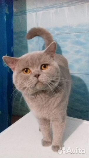 Вязки,Тоннели