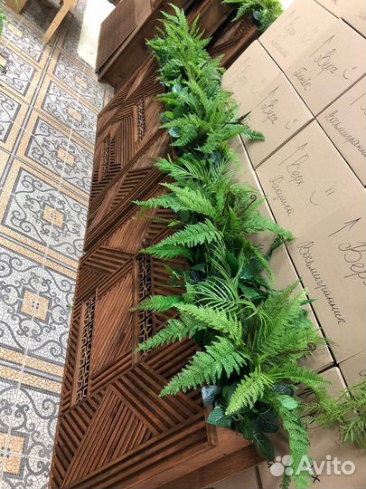 Мох, Вертикальное Озеленение. Ягель. Кочки