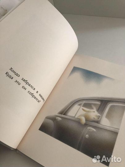 Детская книга Хондо и Фабиан