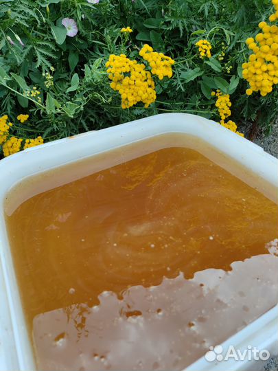 Мёд оптом - своя пасека, от 1 кг. Магнитогорск