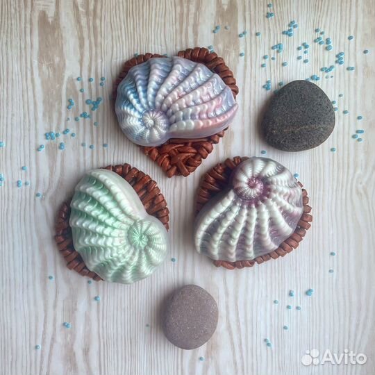 Мыльные ракушки