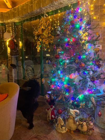 Дом 153 м² на участке 50 сот.