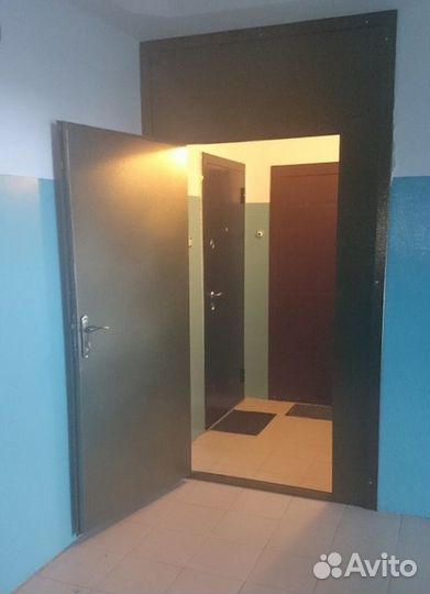 Тамбурная дверь