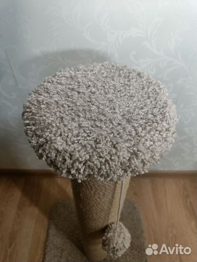 Когтеточка