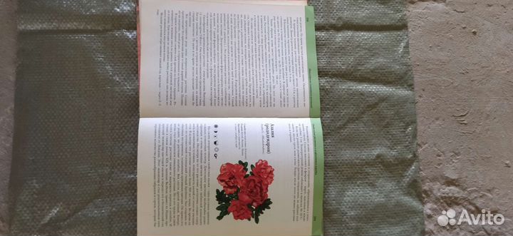 Книга Комнатные растения