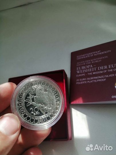 Сова с кристаллами сваровски 20 евро