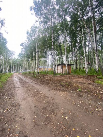 Участок 20 сот. (СНТ, ДНП)