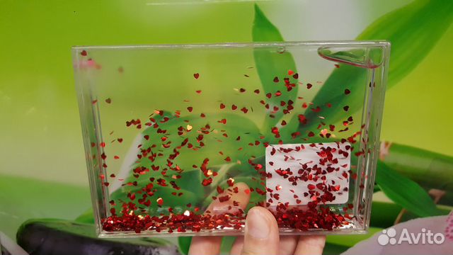 Фоторамка водяная валентинка подарок