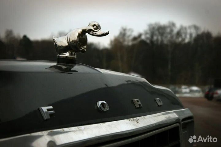 Злая утка на капот