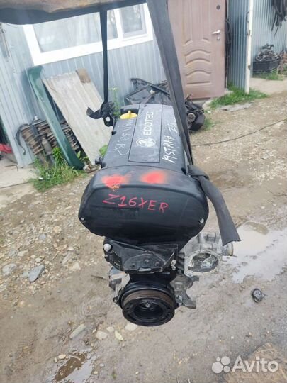 Двигатель Opel Z16XEP