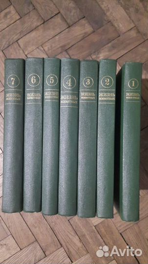 Книги на чешском языке A.Hoffmeister, B.Blazek