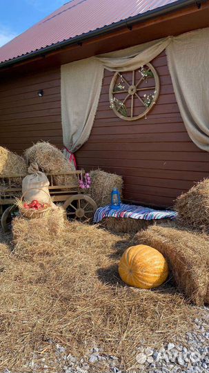 Сено в брикетах