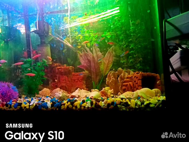 Аквариумы декорации освещение